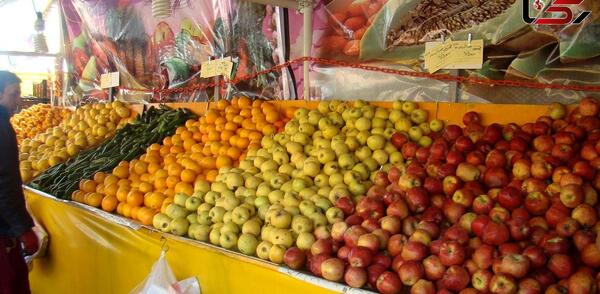 عکس حافظ تره باری