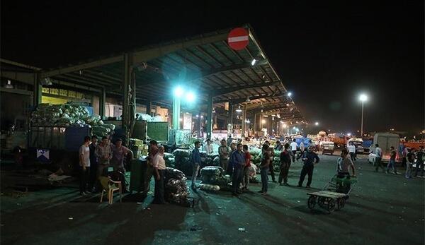 عکس حافظ تره باری