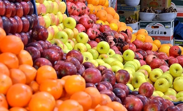 عکس حافظ تره باری