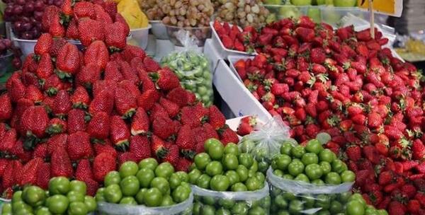 عکس حافظ تره باری