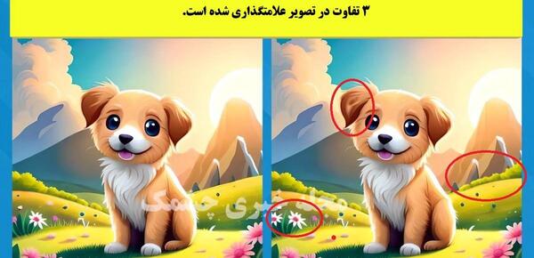 عکس هاپوی کوچولو