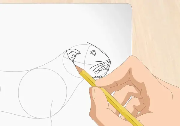 عکس شیر نقاشی ساده