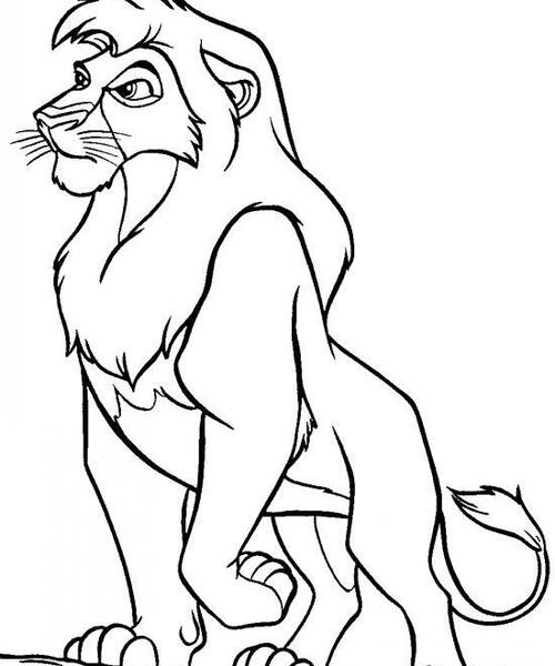 عکس شیر نقاشی ساده