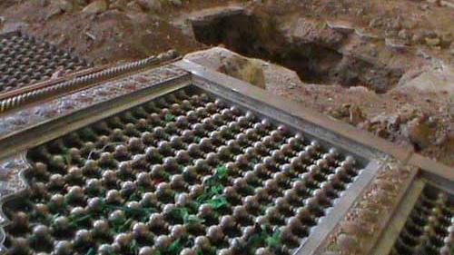 عکس جنازه حجربن عدی بعد از نبش قبر