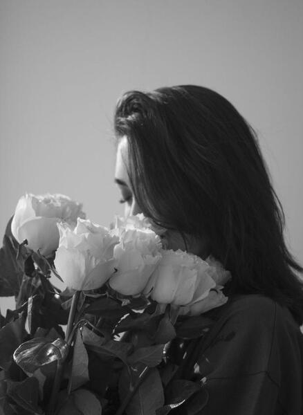 عکس رز سفید برای پروفایل