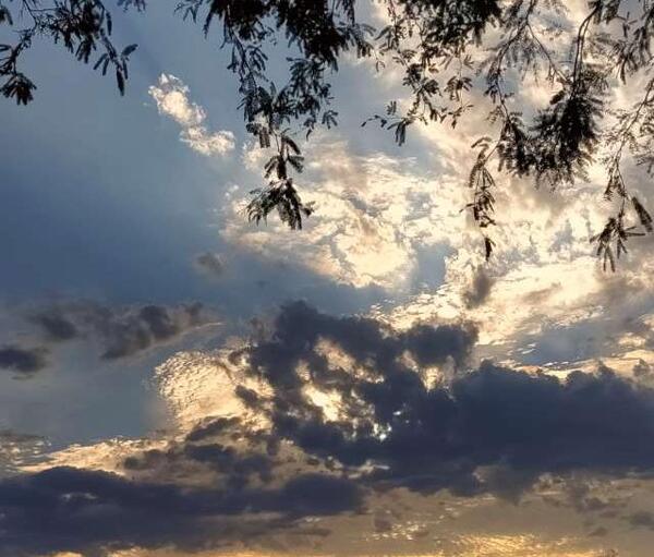 عکس شهر فینیکس