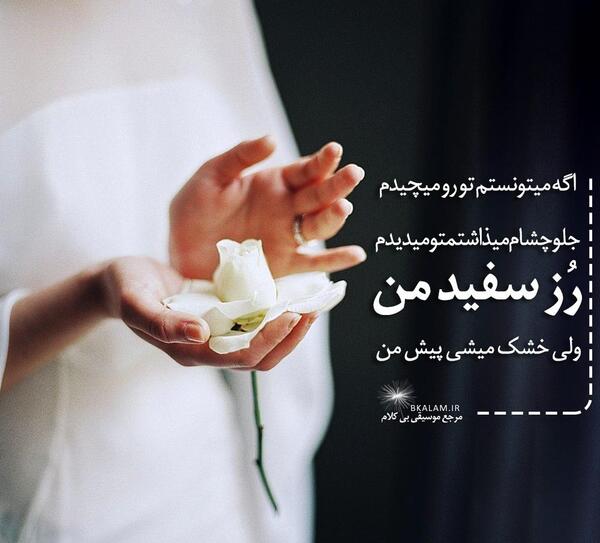 عکس حامیم با رز سفید
