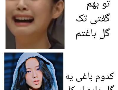 عکس نوشته طنز بلک پینک تستچی