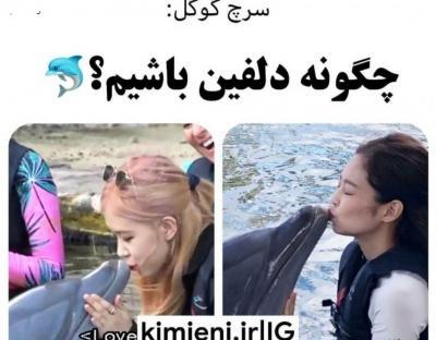 عکس نوشته طنز بلک پینک تستچی