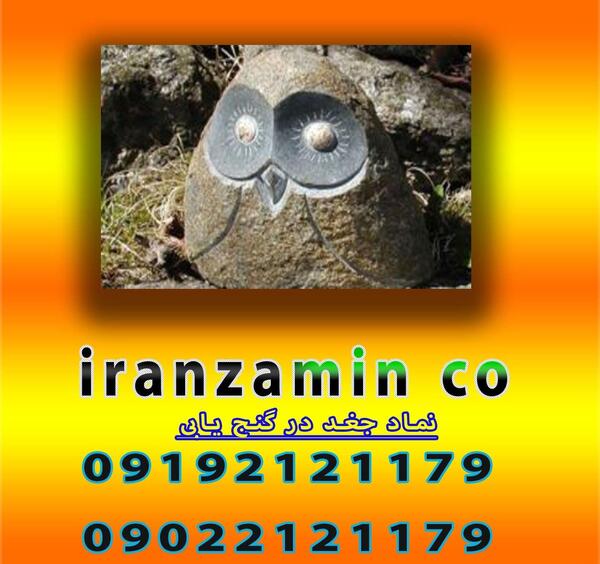 عکس جغد به چه معناست