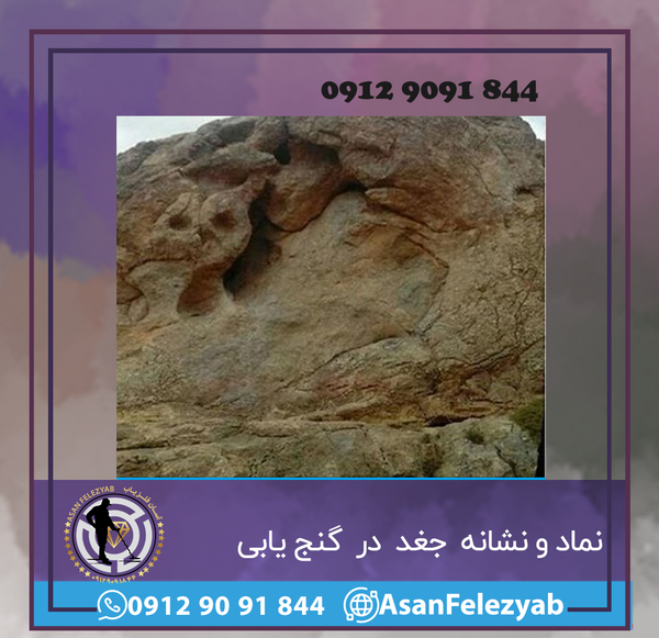 عکس جغد به چه معناست