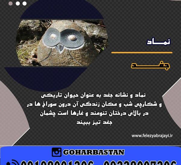 عکس جغد به چه معناست