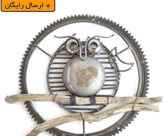 عکس جغد خسته