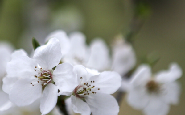 عکس بهاره جان عیدت مبارک