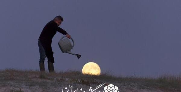 عکس خطای دید عاشقانه