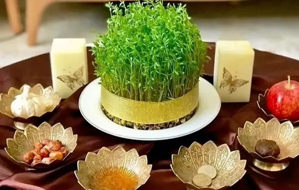 عکس سبزه انواع حبوبات