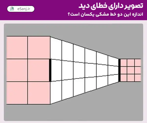 عکس هایی که باعث خطای دید می شوند