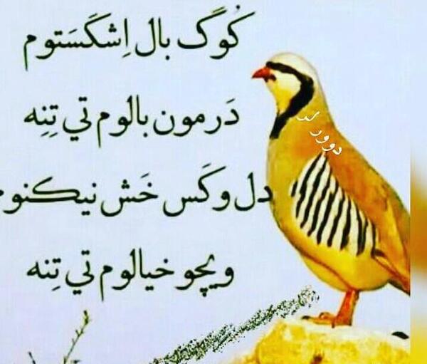 عکس نوشته زیبای لری برای پروفایل