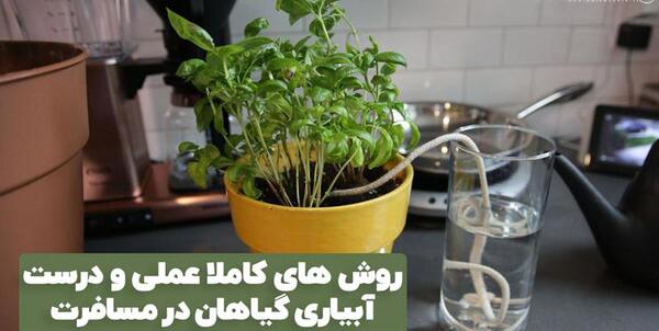 عکس گلهام نی نی سایت