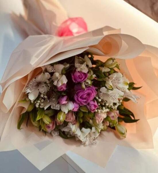 عکس گلهام نی نی سایت