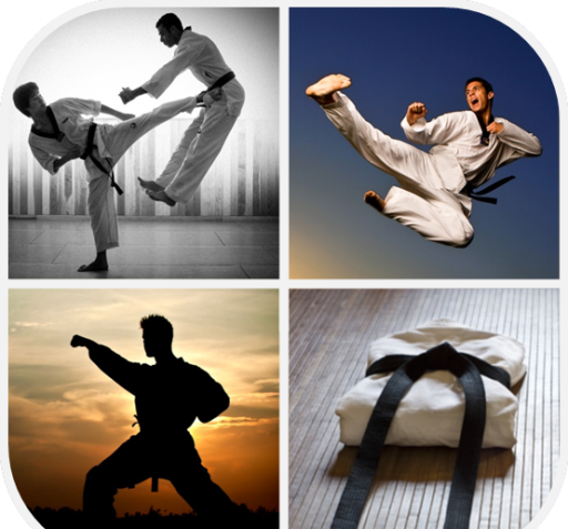 عکس ورزش کاراته