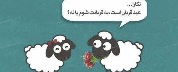 عکس نوشته کردی عید قربان