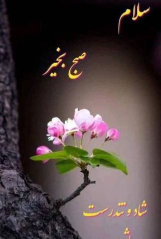 عکس نوشته سلام و وقت بخیر