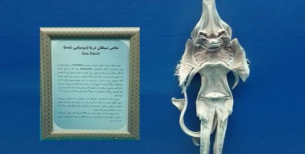 عکس شیطان پری دریایی