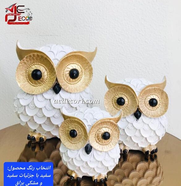 عکس رنگ جغد