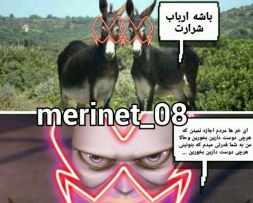 عکس خنده دار از کت نوار