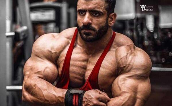 عکس غذاهای هادی چوپان