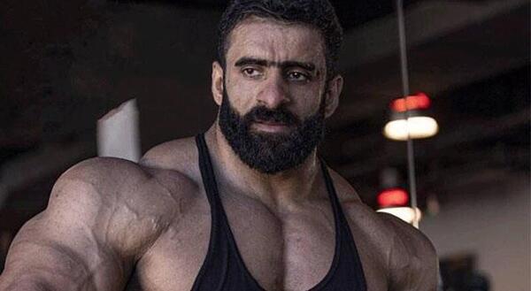 عکس غذاهای هادی چوپان