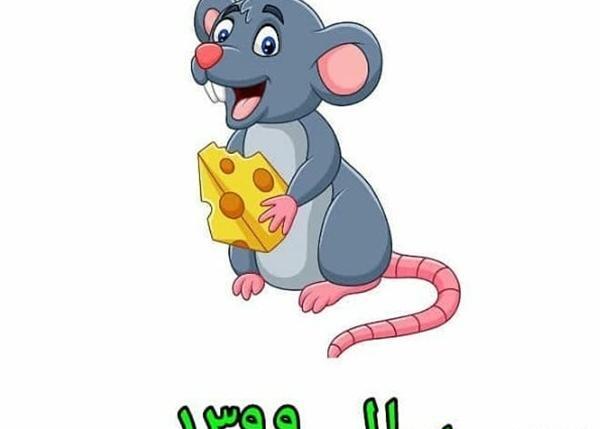 عکس موش زندانی