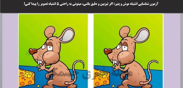 عکس موش زندانی