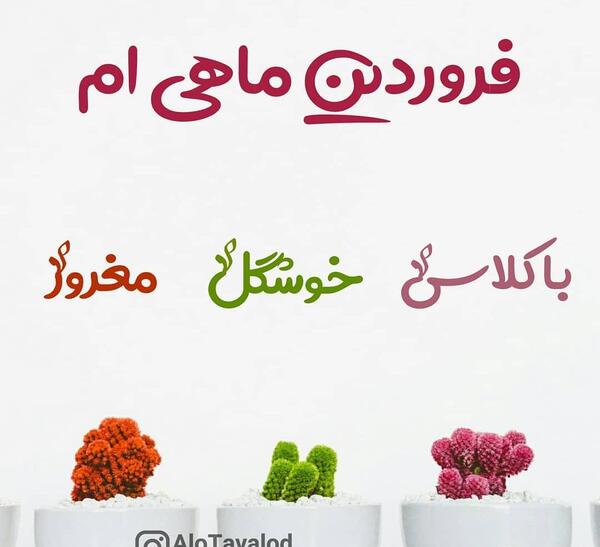 عکس فروردین ماهی ام