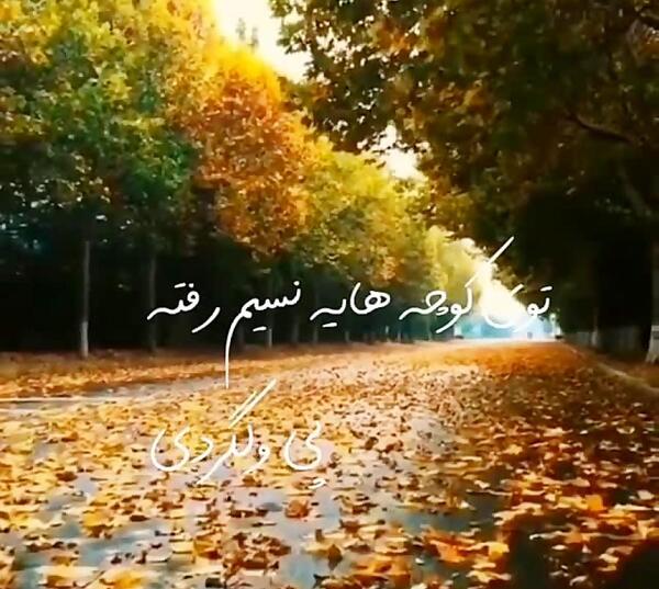 عکس استوری پاییز همایون شجریان