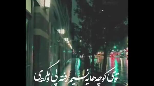 عکس استوری پاییز همایون شجریان