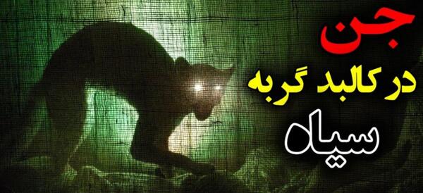 عکس شیطان گربه