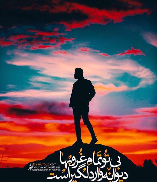 عکس خورشید پشت درخت