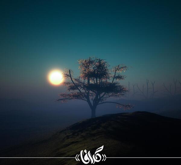 عکس خورشید پشت درخت