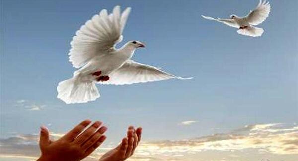 عکس نوشته غم قفس به کنار