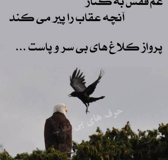 عکس نوشته غم قفس به کنار