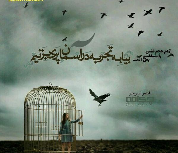 عکس نوشته غم قفس به کنار