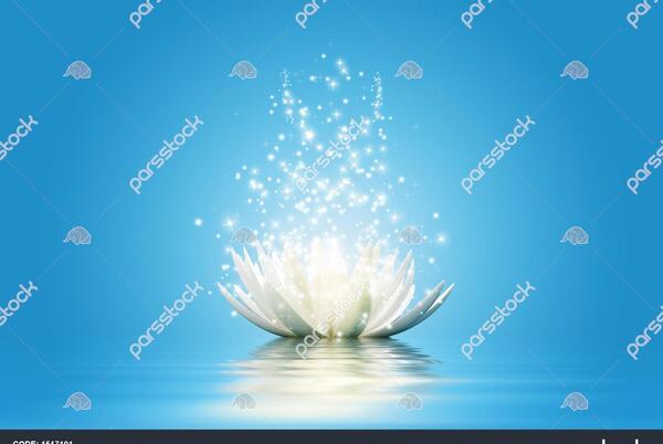عکس تاج جادویی گاردنیا