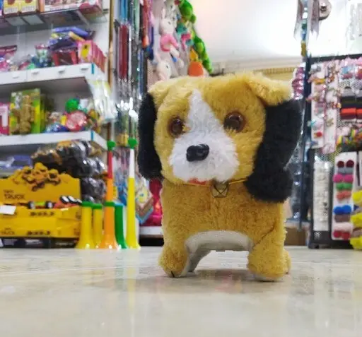 عکس هاپو با صدا