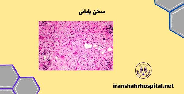 عکس بافت نرم