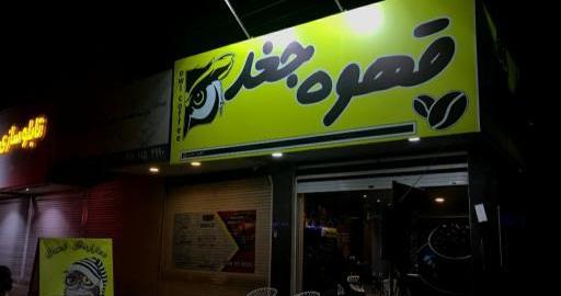 عکس جغد قهوه