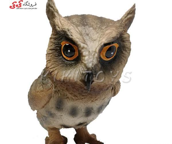 عکس جغد قهوه