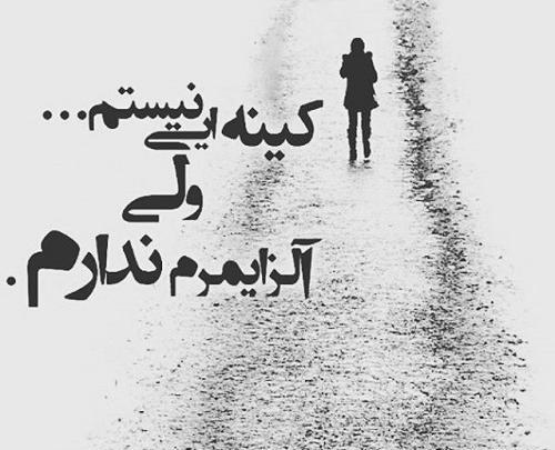 عکس نوشته کینه ای نیستم ولی آلزایمرم ندارم