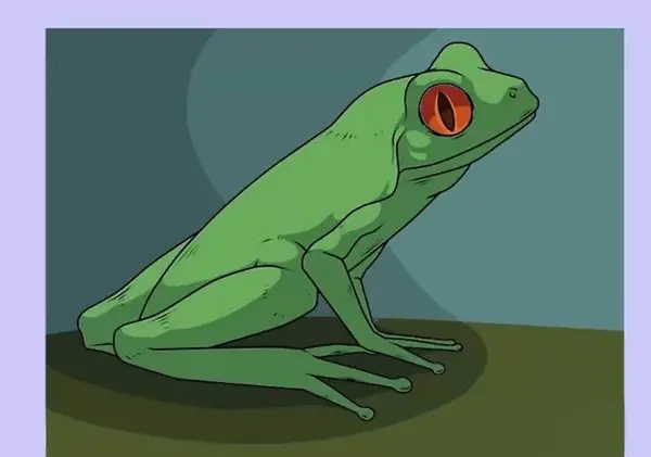 عکس نقاشی قورباغه